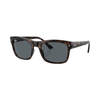 LENTE RAY BAN 4428 710/R5 56