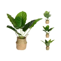 PLANTA ARTIFICIAL EN MACETA KPM 017112 46 CM SURTIDO