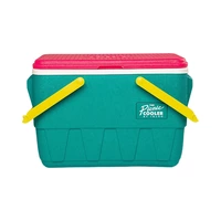 CONSERVADORA IGLOO 48537 CESTA DE PICNIC RETRO 23 L JADE