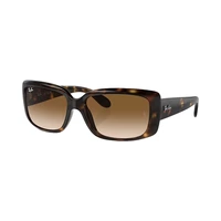 LENTE RAY BAN 4389 710/51 55