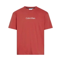 CAMISETA CALVIN KLEIN K10K111346 XAE