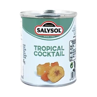 FRUTOS SECOS SALYSOL TROPICAL COCKTAIL 40GR