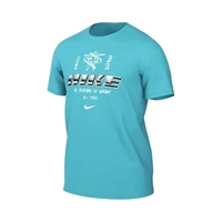 REMERA NIKE HF6134345 DF LBR GFX