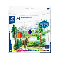 LÁPIS DE COR STAEDTLER COLOURED PENCILS 146C C24 24 UNIDADES