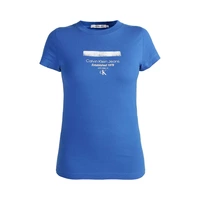 CAMISETA CALVIN KLEIN J20J222039 C6X