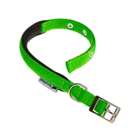 COLLAR PARA PERRO FERPLAST DAYTONA 20/43 VERDE