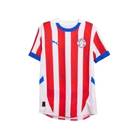 REMERA PUMA 773407AV01 OFICIAL PARAGUAY APF