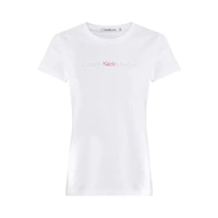 CAMISETA CALVIN KLEIN J20J223266 YAF