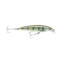 SEÑUELO ARTIFICIAL RAPALA SXR10 PF 10CM 13GR