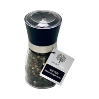 CONDIMENTO TERRAMEZZO MIXED PEPPERCORNS 93GR