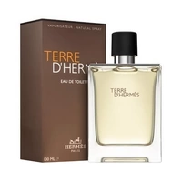 PERFUME HERMES TERRE EAU DE TOILETTE 100ML