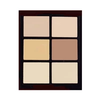 PALETA DE CORRECTORES ALICE ACADEMY 01 LIGHT