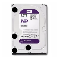 HD WESTERN DIGITAL PURPLE 4TB