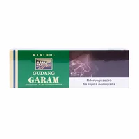 Cigarrillo Gudan Garam Menta 10 X 20