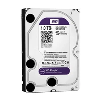 HD WESTERN DIGITAL ROXO 1 TB