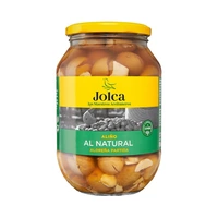 ACEITUNA JOLCA ALOREÑA PARTIDA 835GR