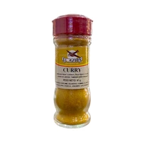 CONDIMENTO EL AVION CURRY 47G